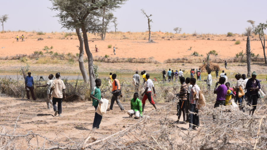 You are currently viewing Sécurité alimentaire au Niger : un projet de la BAD a épargné 9 millions de personnes