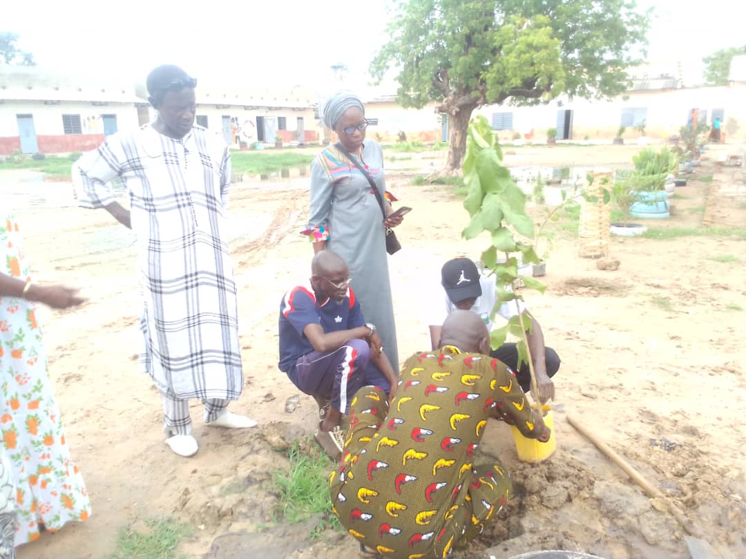 You are currently viewing Kaolack : le GARDES plante des arbres à l’école Issa Diouf