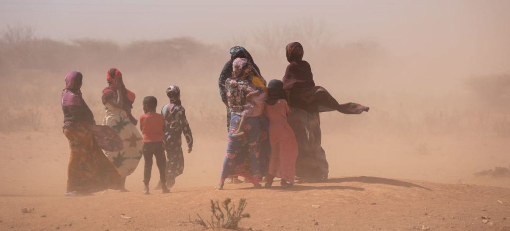 Somalie : un million de personnes déplacées par la sécheresse (HCR)