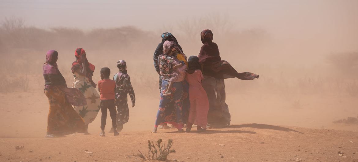 Lire la suite à propos de l’article Somalie : un million de personnes déplacées par la sécheresse (HCR)