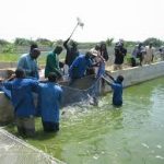 Les pays d’Afrique, des Caraïbes et du Pacifique prêts à montrer le véritable potentiel de la pêche et de l’aquaculture