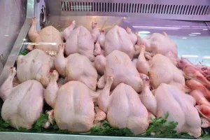 Lire la suite à propos de l’article Newcastle et virus H9 : menaces sur l’approvisionnement en poulets de Korité