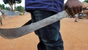 Lire la suite à propos de l’article Kaolack : Un « lutteur-agresseur » assène un coup de machette à un gérant de multiservice…