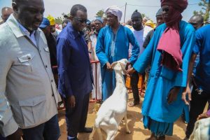 Read more about the article Tabaski – Amadou Ba : « Un mouton pas cher, le choix de Macky Sall »