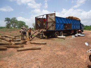 Read more about the article Tamba : un exploitant forestier ligoté, tué et abandonné en brousse