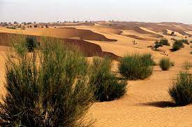 You are currently viewing Dahra Djolof : un charretier meurt enseveli par les dunes de sable