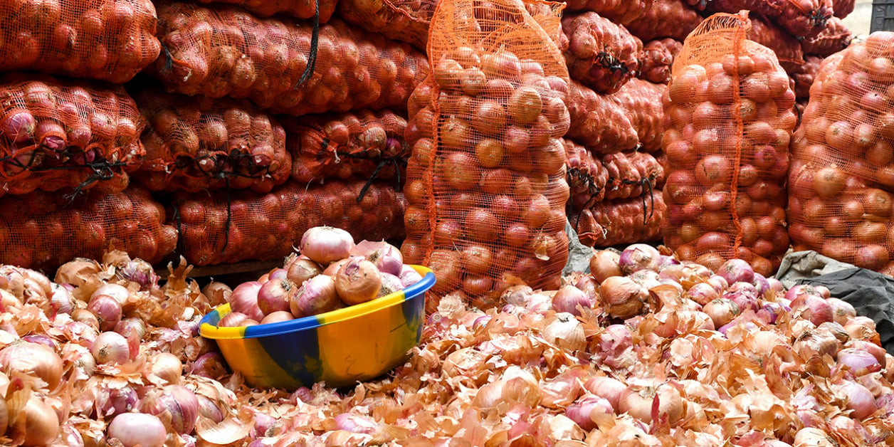Lire la suite à propos de l’article Tabaski : le jeu mercantile de producteurs et commerçants sur l’oignon local