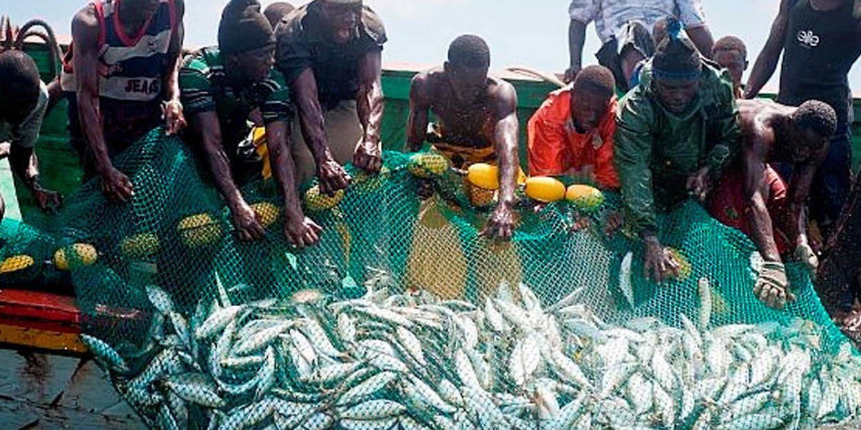 You are currently viewing La Mauritanie octroie 500 licences aux pêcheurs sénégalais