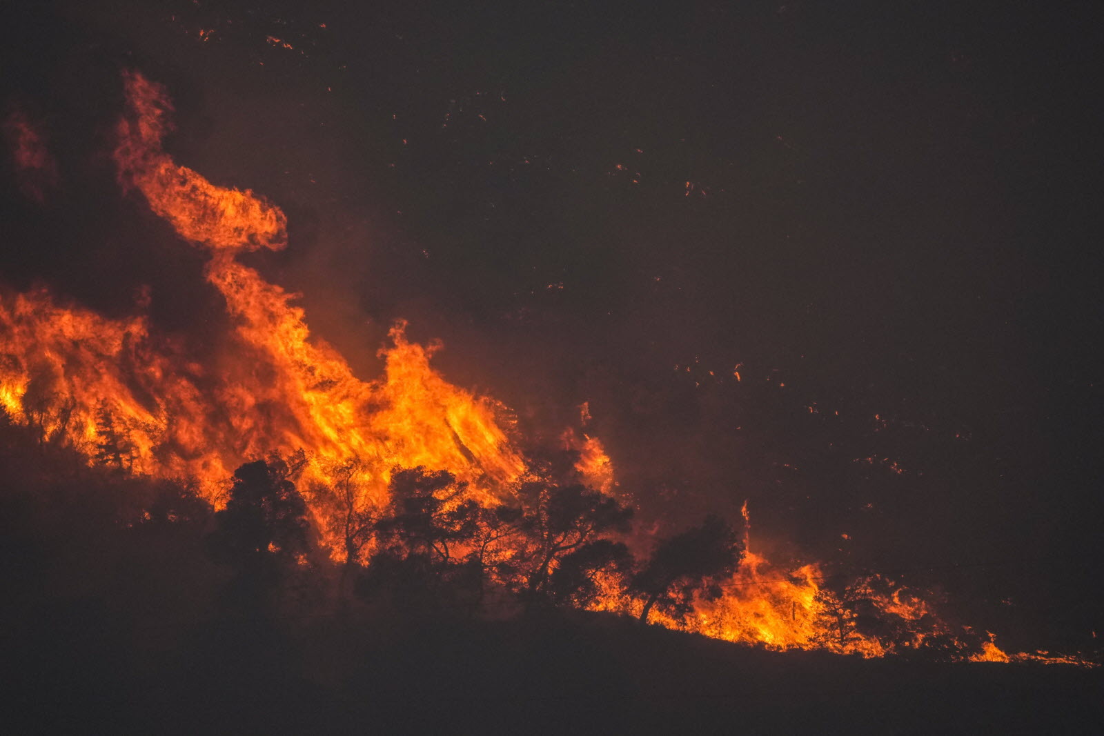 You are currently viewing Incendies: près de 2 500 personnes évacuées sur l’île grecque de Corfou dans la nuit (pompiers)