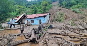 Lire la suite à propos de l’article Inde : au moins 24 morts après de fortes pluies