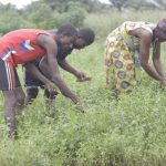 Au Togo, une pompe solaire améliore la vie des agriculteurs (BAD)
