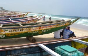 Lire la suite à propos de l’article Emigration irrégulière : plus de 1500 pêcheurs arrêtés