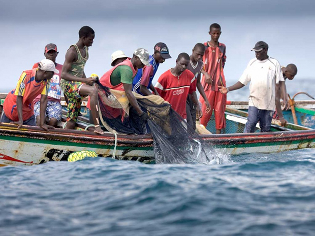 You are currently viewing Les graves révélations sur l’effondrement de la pêche artisanale
