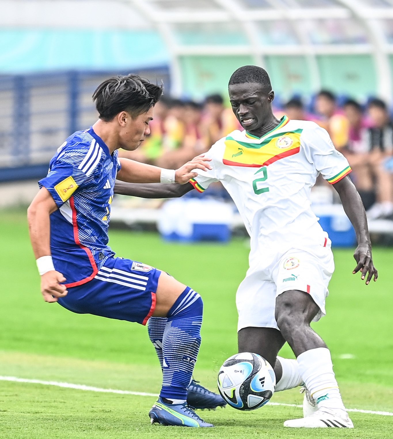You are currently viewing Mondial U17 : le Sénégal perd la 1ère place, Amara et Serigne Diouf
