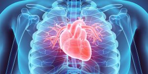 Lire la suite à propos de l’article « Les maladies cardio-vasculaires vont arriver au premier plan des causes de mortalité » (Pr Abdoul Kane)