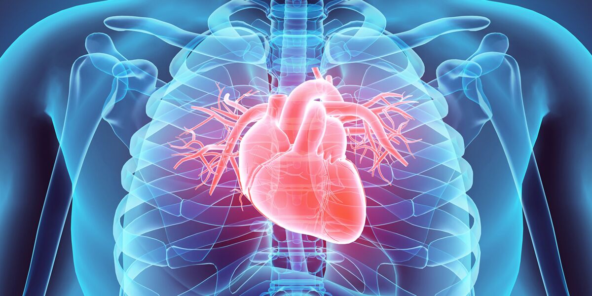 You are currently viewing « Les maladies cardio-vasculaires vont arriver au premier plan des causes de mortalité » (Pr Abdoul Kane)