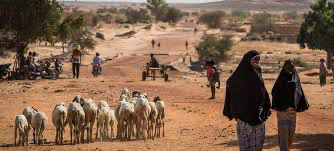 You are currently viewing De petits investissements mis à l’échelle transforment l’avenir des plus vulnérables au Niger