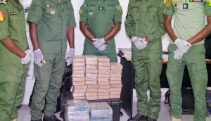 Kidira : la décision du gouverneur de Tamba après la saisie record de cocaïne