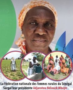 Lire la suite à propos de l’article Kaolack : La Fédération nationale des femmes rurales salue les instructions du ministre de l’Agriculture